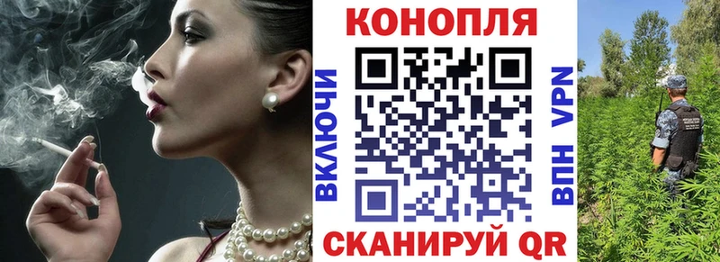 OMG как войти  где найти   Велиж  Конопля VHQ 